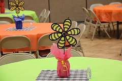 6: IMG_6887
